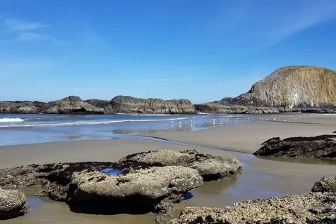 Seal Rock RV Cove