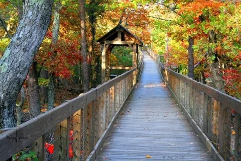 Cheaha State Park