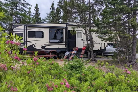 Newman Sound Campground - Terra Nova National Park