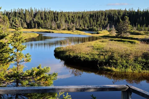 Newman Sound Campground - Terra Nova National Park