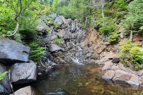 Newman Sound Campground - Terra Nova National Park