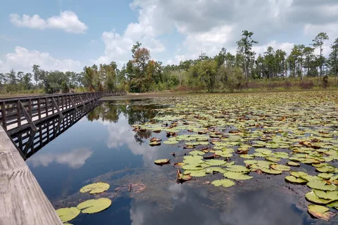 Seminole State Park
