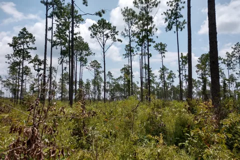 Seminole State Park