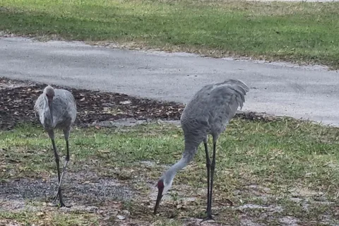 Lost Lake RV Resort