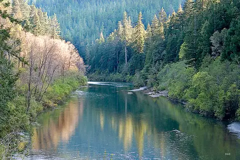 Redwoods River Resort and Campground