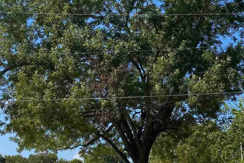 Hackberry Acres RV Park