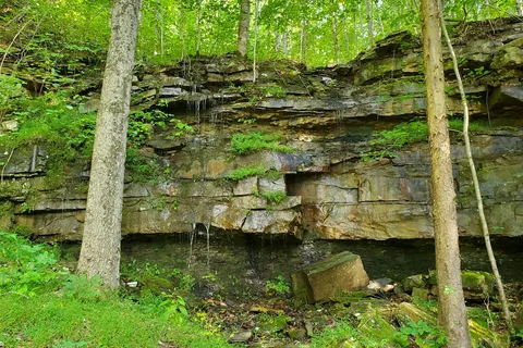 Camp Chet