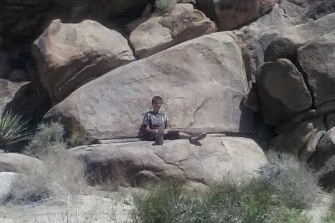 Joshua Tree RV and Campground