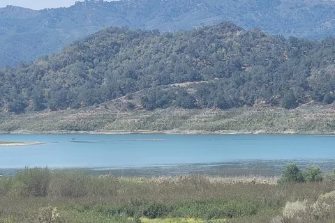 Hawk - Lake Casitas Recreation Area