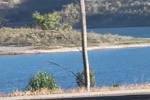 Hawk - Lake Casitas Recreation Area