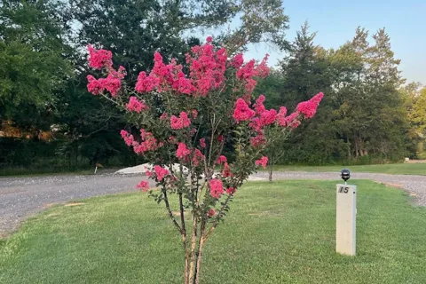 The Bluffs RV Park
