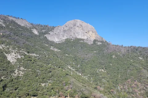 Sequoia National Park