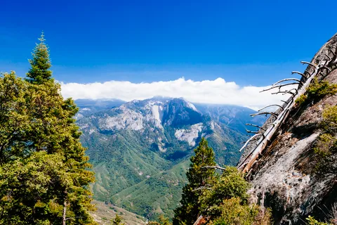 Sequoia National Park