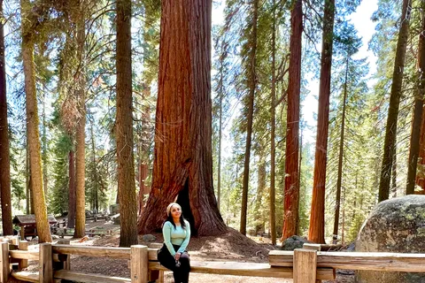Sequoia National Park