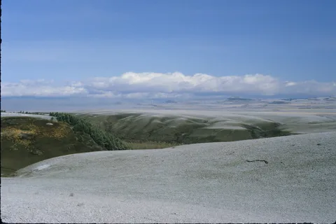 Oldman River North Recreational Area