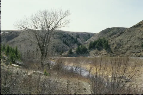 Oldman River North Recreational Area