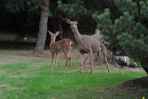 North Whidbey RV Park