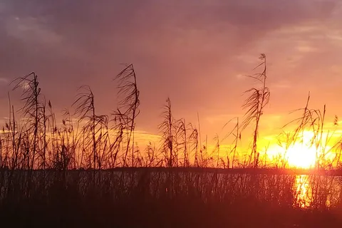 Buccaneer State Park