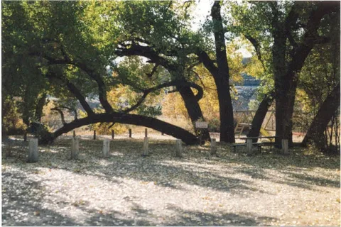 11 Bridges Campground and Cabins
