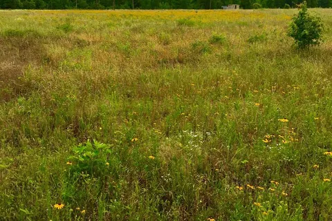 Hope Springs RV Campground