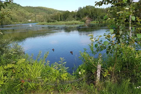 Camping Panoramic 86