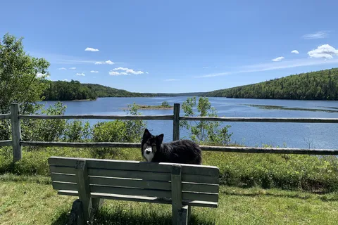 Salsman Provincial Park