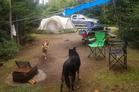 Salsman Provincial Park