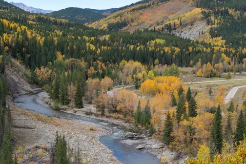 Sandy McNabb - Sheep River Provincial Park