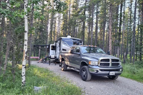 Sandy McNabb - Sheep River Provincial Park