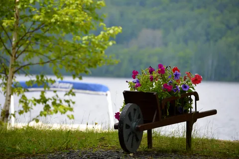 Birch Haven Campground