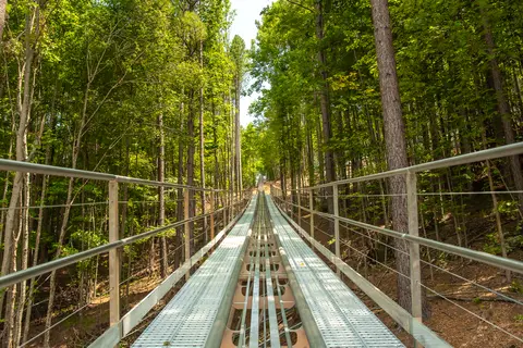 Yogi Bear's Jellystone Park™ Camp-Resort