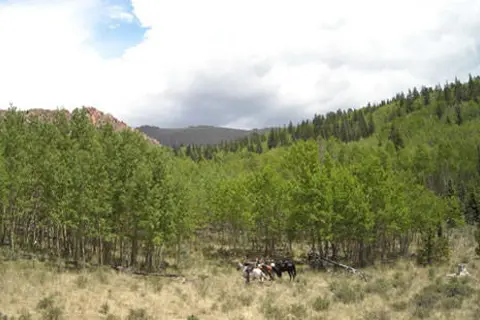 Cripple Creek KOA Holiday