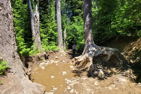 Elbe Hills ORV - Department of Natural Resources