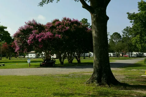 Ouachita RV Park