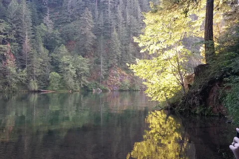 Clackamas River RV Park