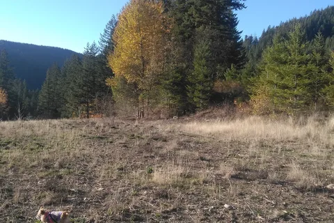 Clackamas River RV Park