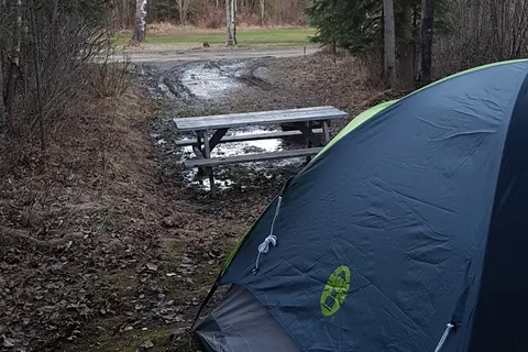 Blue Cedars RV Park and Campground