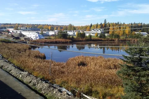 Blue Cedars RV Park and Campground