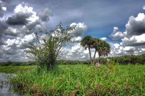 Myakka River State Park