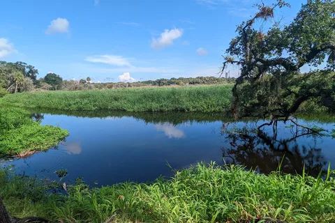 Myakka River State Park
