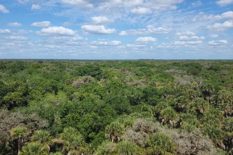 Myakka River State Park