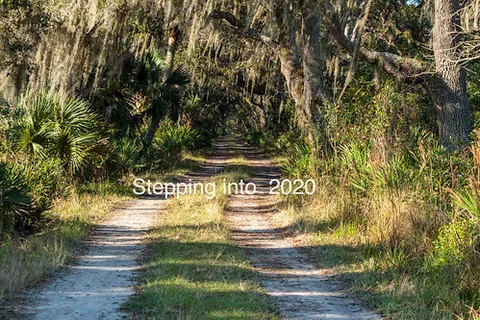 Myakka River State Park