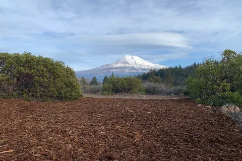 Trailer Lane Campground