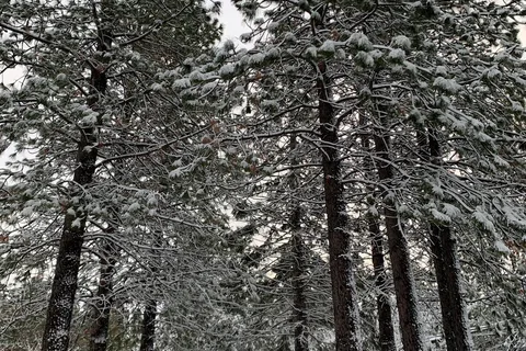 Trailer Lane Campground