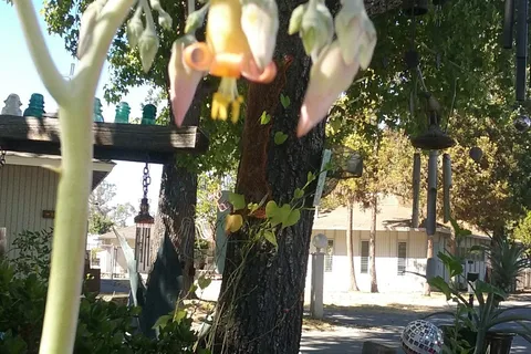 Wine Country RV Park