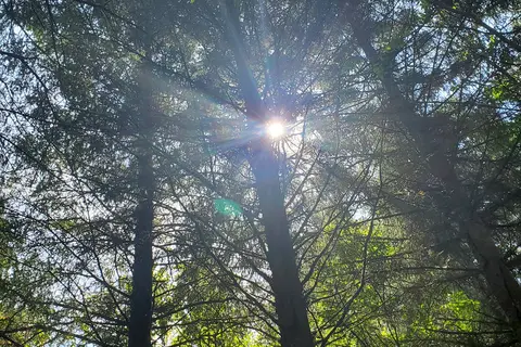 Tillamook Bay City RV Park