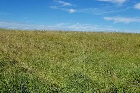 North Dakota Links and RV Park