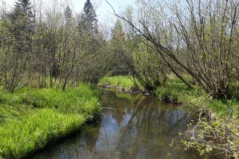 Ponderosa Campground