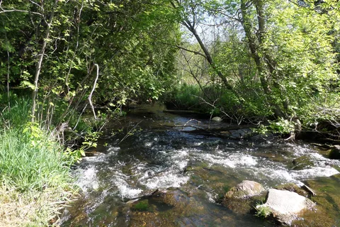 Ponderosa Campground