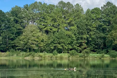 Wendy Oaks RV Resort